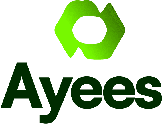 ayees.com